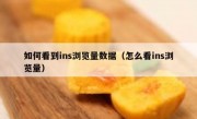如何看到ins浏览量数据（怎么看ins浏览量）