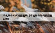 手机账号如何找回密码（手机账号如何找回密码呢）