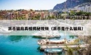 派币骗局真相揭秘视频（派币是什么骗局）