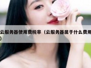 云服务器使用费税率（云服务器属于什么费用）
