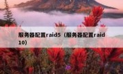 服务器配置raid5（服务器配置raid10）
