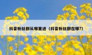 抖音粉丝群从哪里进（抖音粉丝群在哪?）