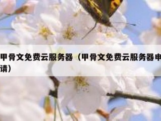 甲骨文免费云服务器（甲骨文免费云服务器申请）