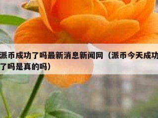 派币成功了吗最新消息新闻网（派币今天成功了吗是真的吗）