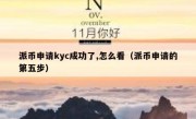 派币申请kyc成功了,怎么看（派币申请的第五步）