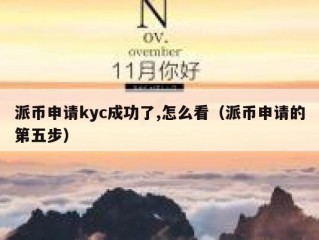 派币申请kyc成功了,怎么看（派币申请的第五步）