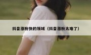 抖音涨粉快的领域（抖音涨粉太难了）