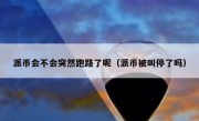 派币会不会突然跑路了呢（派币被叫停了吗）