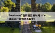 facebook广告数据监测时间（facebook广告数据怎么看）