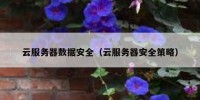 云服务器数据安全（云服务器安全策略）