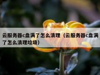 云服务器c盘满了怎么清理（云服务器c盘满了怎么清理垃圾）