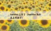 twitter上不了（twitter为什么上不去了）
