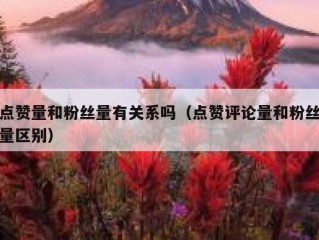 点赞量和粉丝量有关系吗（点赞评论量和粉丝量区别）