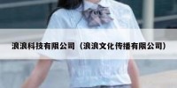 浪浪科技有限公司（浪浪文化传播有限公司）