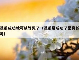派币成功就可以等死了（派币要成功了是真的吗）