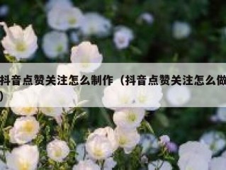 抖音点赞关注怎么制作（抖音点赞关注怎么做）