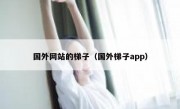 国外网站的梯子（国外梯子app）