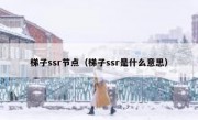 梯子ssr节点（梯子ssr是什么意思）