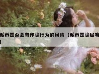 派币是否会有诈骗行为的风险（派币是骗局嘛）