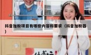 抖音加粉项目有哪些内容和要求（抖音加粉器）