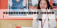 抖音加粉项目有哪些内容和要求（抖音加粉器）