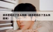 派币密码忘了怎么找回（派币密码忘了怎么找回来）