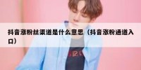 抖音涨粉丝渠道是什么意思（抖音涨粉通道入口）