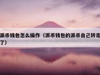 派币钱包怎么操作（派币钱包的派币自己转走了）