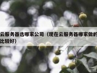 云服务器选哪家公司（现在云服务器哪家做的比较好）
