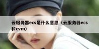 云服务器ecs是什么意思（云服务器ecs和cvm）