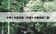 中国十大服务器（中国十大服务器厂商）