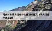码支付和易支付有什么区别呢图片（易支付是什么意思）