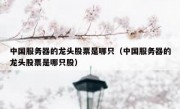 中国服务器的龙头股票是哪只（中国服务器的龙头股票是哪只股）