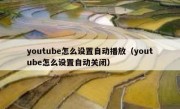 youtube怎么设置自动播放（youtube怎么设置自动关闭）