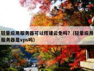 轻量应用服务器可以搭建云免吗?（轻量应用服务器是vps吗）