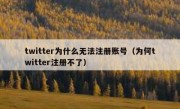 twitter为什么无法注册账号（为何twitter注册不了）