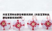 抖音互赞粉丝群在哪里找到的（抖音互赞粉丝群在哪里找到的啊）