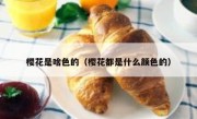 樱花是啥色的（樱花都是什么颜色的）