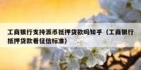工商银行支持派币抵押贷款吗知乎（工商银行抵押贷款看征信标准）