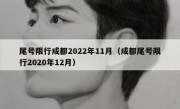 尾号限行成都2022年11月（成都尾号限行2020年12月）