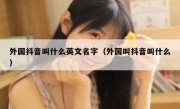 外国抖音叫什么英文名字（外国叫抖音叫什么）