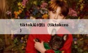 tiktok从0到1（tiktokceo）
