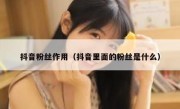 抖音粉丝作用（抖音里面的粉丝是什么）