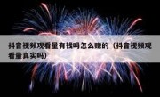 抖音视频观看量有钱吗怎么赚的（抖音视频观看量真实吗）