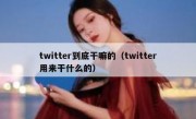twitter到底干嘛的（twitter用来干什么的）