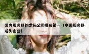 国内服务器的龙头公司排名第一（中国服务器龙头企业）