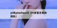pi币pinetwork（Pi币官方支持团队）