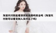 淘宝代付款能看到买的东西吗安全吗（淘宝代付款可以看见别人买什么了吗）