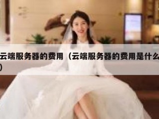 云端服务器的费用（云端服务器的费用是什么）