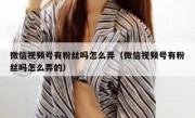 微信视频号有粉丝吗怎么弄（微信视频号有粉丝吗怎么弄的）
